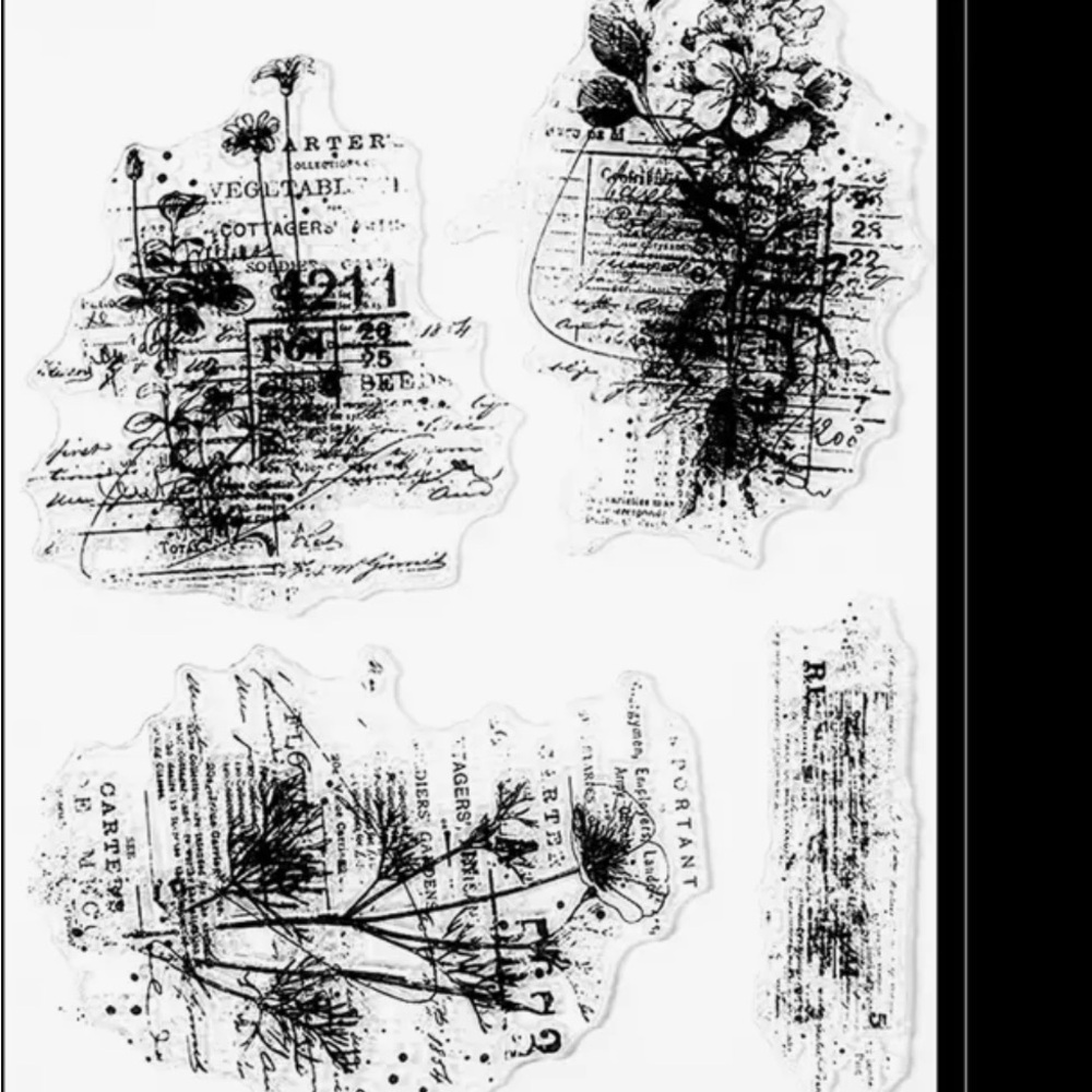 Floral Botanical Clear Stamps